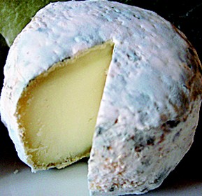 crotin-de-chavignol-nc2b0-919-du-guide-de-pierrette6 crotin-de-chavignol -919-du-guide-de-pierrette