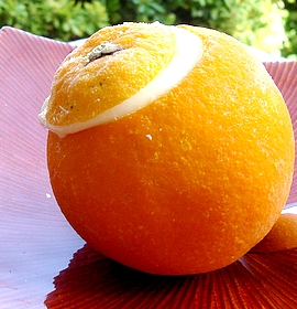 orange-givrée-577-du-guide-de-pierrette