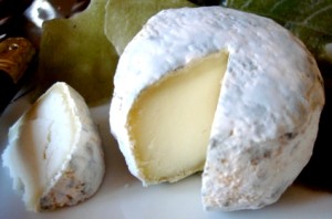 crotin-de-chavignol-919-du-guide-de-pierrette