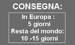 Consegna