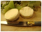 Chèvres de Rocamadour