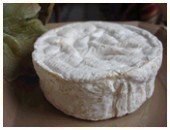 Camembert